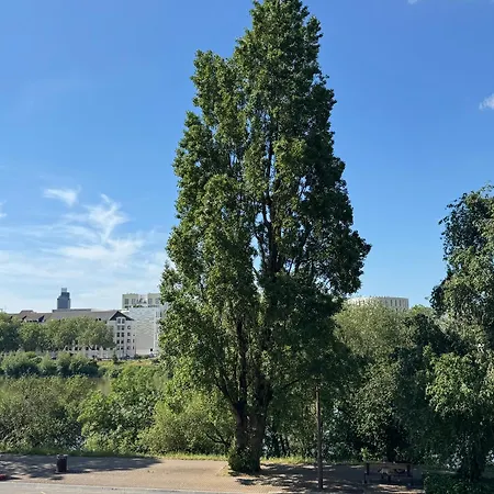 Le Cocon Du Bord De Loire ! Spacieux Pour 6 Personnes Avec Terrasse & Parking