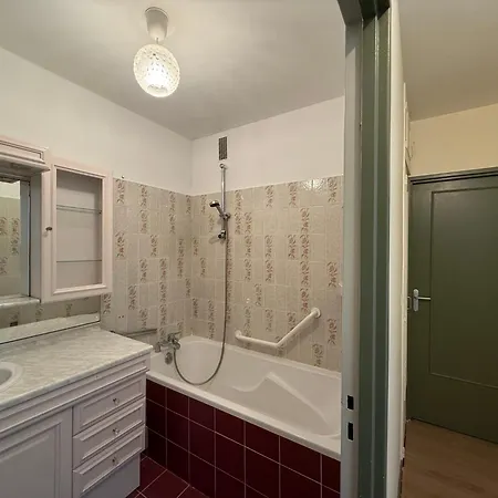 Le Cocon Du Bord De Loire ! Spacieux Pour 6 Personnes Avec Terrasse & Parking Διαμέρισμα